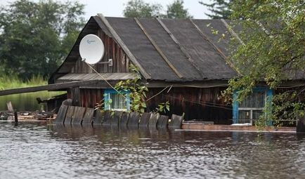 Mikor és miért palackozott ponty