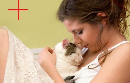 Cat este subtilitatea si daca este adevarat ca pisicile sunt tratate - pisica pisica, rasele de pisici, ingrijirea pisicilor, (trateaza) Cat de subtilitati si daca este adevarat ca pisicile sunt tratate - pisica pisica pisica, rase de pisici, grija de pisici,