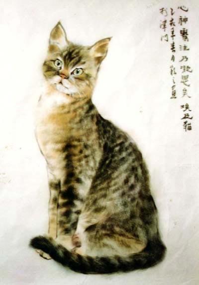 Pisicile în acuarele ale chinezilor chinezi, povestile lui Jinzhi