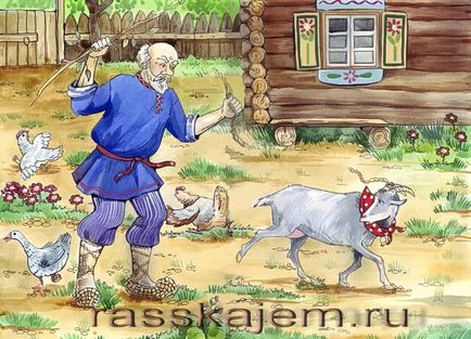 Goat Dereza - poveste populară rusă, povestiri poezii scurte povestiri