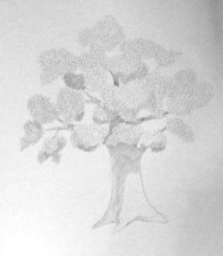 Desene frumoase de copaci cu o analiză pas cu pas pe site