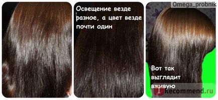 Фарба для волосся артколор хна іранська класична - «відросло коріння фарбовані фарбою волосся