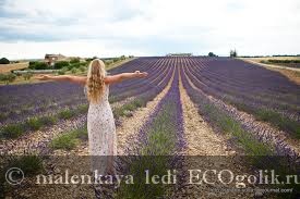 Testápoló krém levendula hegy organiczone - felülvizsgálata ekoblogera malenkaya ledi