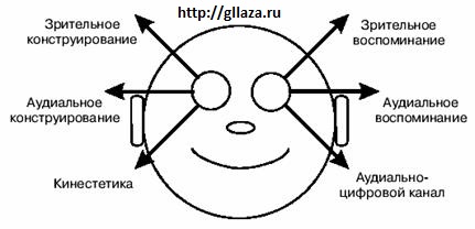 Unde cauți! Fiziognomia vederii, stilul de viață sănătos și frumos față în față