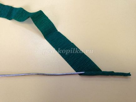 Flori de vară cu mâinile lor (flori) Flori de vară cu mâinile proprii