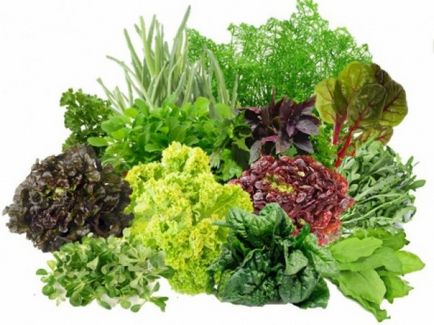 Salate de frunze - utile sau dăunătoare