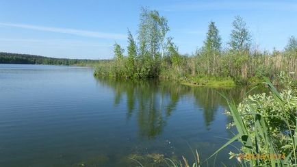 Ловля щуки без поплавця і грузила на жабу - саморобки для риболовлі своїми руками