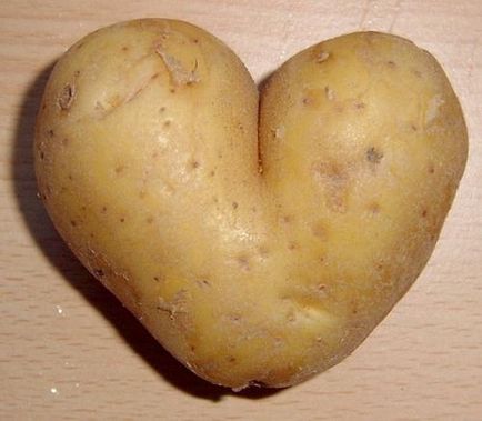 Cei mai buni precursori ai cartofului pentru obținerea recoltelor bogate
