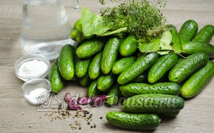 Малосольні огірки покроковий рецепт (11 фото)