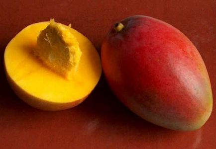 Mango cultivat acasă, flori