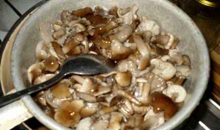 Marinate ciuperci de toamnă pentru rețete de iarnă, cum să murat ciuperci pentru bere de origine
