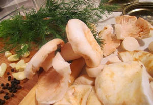 Marinated russula pentru iarnă - cele mai bune rețete de gătit, site-ul de ciuperci