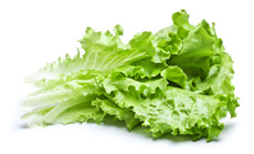 Masti din salata - produse alimentare si vitamine pentru pielea fetei