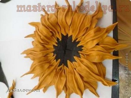 Master-clasa pe compoziția produselor din piele cu floarea-soarelui