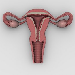 Miomul semnelor de col uterin, metodele de diagnostic și tratament