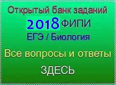 Чи можна отримати 100 балів