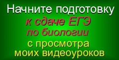 Чи можна отримати 100 балів