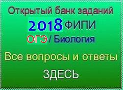 Чи можна отримати 100 балів