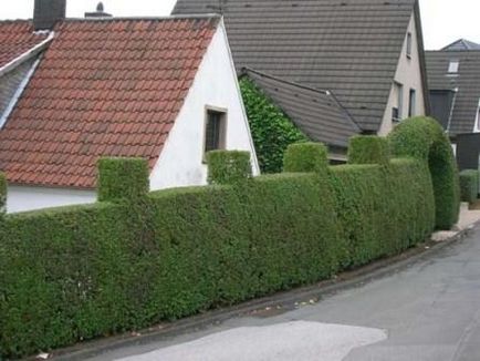 Німецькі приватні сади