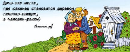 Німецький стиль - все для дачників і городників, поради та рекомендації