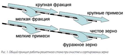 Ні смітинки, ні пилинки