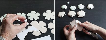 Flori tridimensionale de cocos din hârtie cu propriile mâini cu scheme
