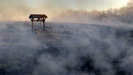 Оформлення колодязя як красиво його оформити, ніж декорують колодязь, квіти як елемент декорації