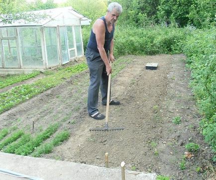 Castraveți în țară - metode de plantare