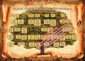 Descrierea metodei de creare a genealogiei proprii și construirea unui arbore genealogic, aplicată