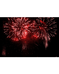 Recenzii - focuri de artificii festive, focuri de artificii de nunta екатеринбург
