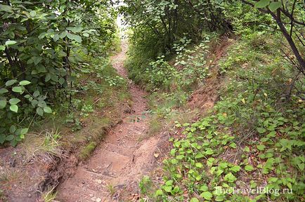 Відгук про відпочинок дикуном в наметах на Байкалі, thetravelblog