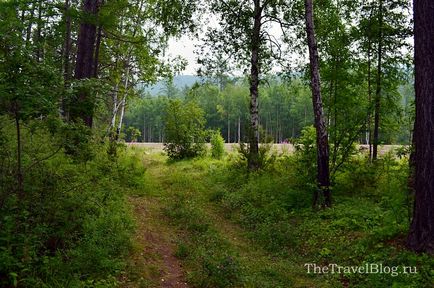 Відгук про відпочинок дикуном в наметах на Байкалі, thetravelblog