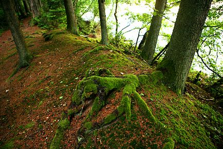 Lacul Svityaz Belarussia - magia lacului mistic - apa - sursa frumusetii si a tineretii