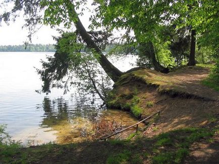 Lacul Svityaz Belarussia - magia lacului mistic - apa - sursa frumusetii si a tineretii