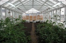 Az üvegházhatást okozó uborka szerelését és telepítését a gyár váz és építeni saját kezűleg