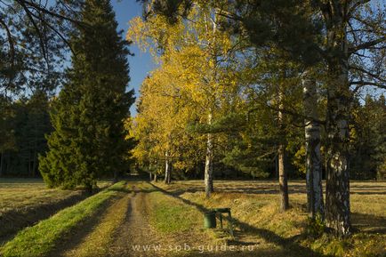 Pavlovsk park