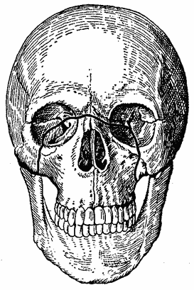 Fracturile maxilarului superior, caracteristicile simptomatologiei fracturilor maxilare, stomatologia chirurgicală