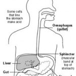 Perforarea esofagului - jurnal medical