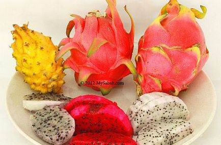 Pitahaya (fructe dragon) - cum să mănânc, proprietăți utile, caloricitate - viața mea