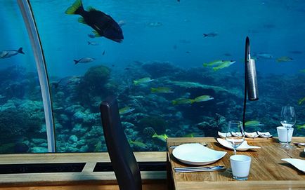 Hotel subacvatic în Maldive, un basm sub apă, un miracol al arhitecturii moderne