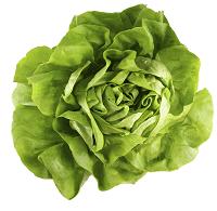 Beneficiile salatei verzi