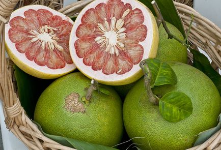 Pomelo előnyei és hátrányai az egzotikus gyümölcsök a nők és férfiak