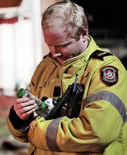 Pompierii care au salvat animalele de companie (38 fotografii)