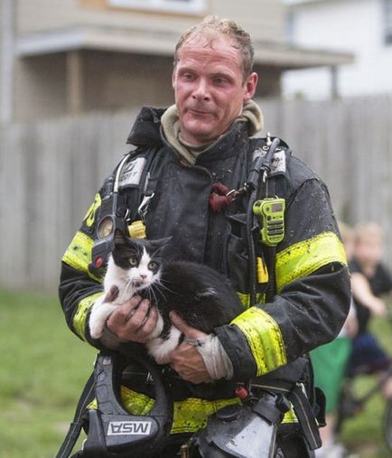 Pompierii care au salvat animalele de companie (38 fotografii)