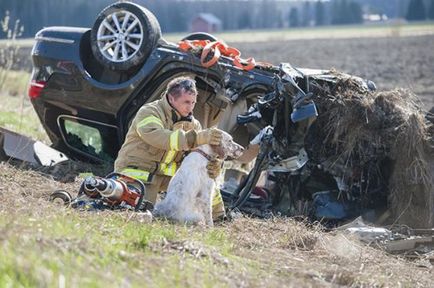 Пожежні, які врятували домашніх тварин (38 фото)