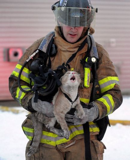 Пожежні, які врятували домашніх тварин (38 фото)