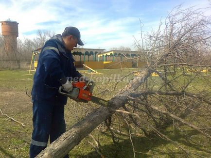 Proiect practic orientat spre îmbunătățirea teritoriului grădiniței