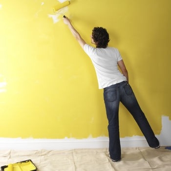 Reguli pentru pictarea zidurilor în apartament cu mâinile lor