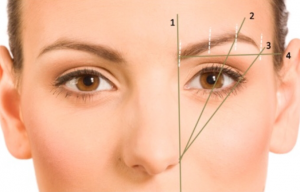 Forma corectă a sprancenelor este cum să alegeți pentru tipul de față un oval, pătrat și t