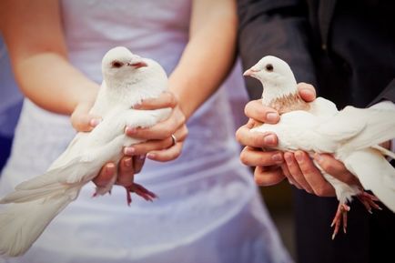 Prezicerea vieții de familie pe zborul porumbeilor nunți